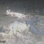 Elephant Attack: Elephant attacks in Korba