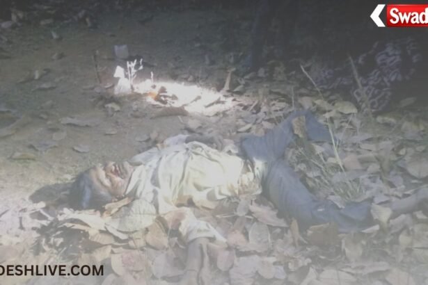 Elephant Attack: Elephant attacks in Korba