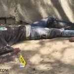 Murder Investigation