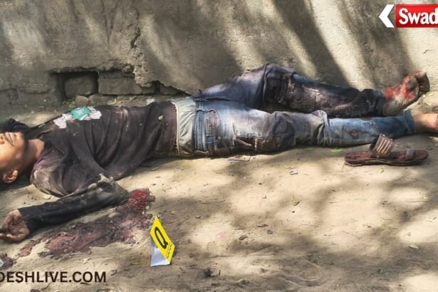 Murder Investigation