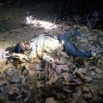 Elephant Attack: Elephant attacks in Korba