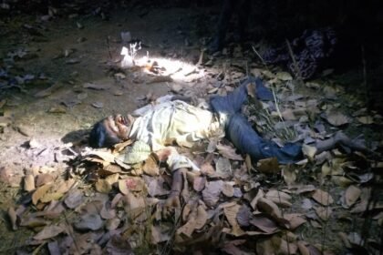 Elephant Attack: Elephant attacks in Korba