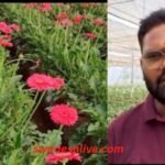 barabanki farmer neeraj farming story