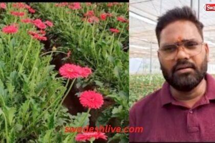 barabanki farmer neeraj farming story