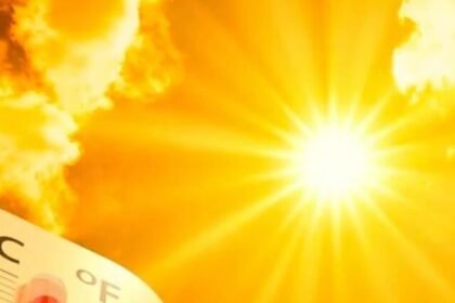 d62895157ca9a19e415f64af489a6de2