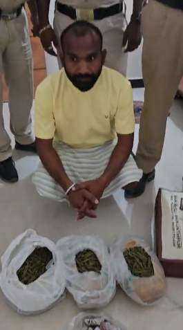 Ganja Seizure