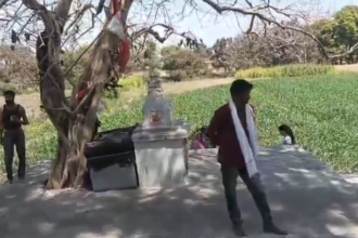 Water From Peepal tree