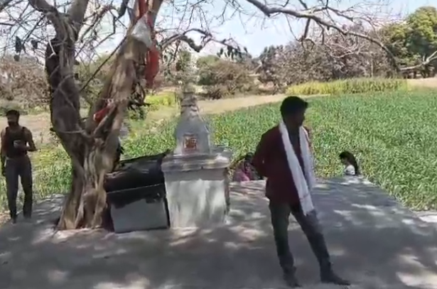 Water From Peepal tree