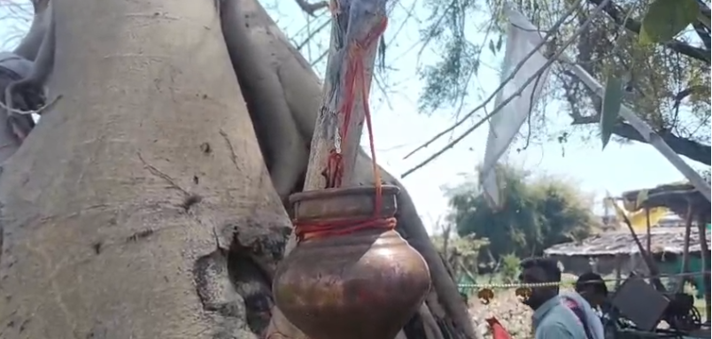 Water From Peepul Tree