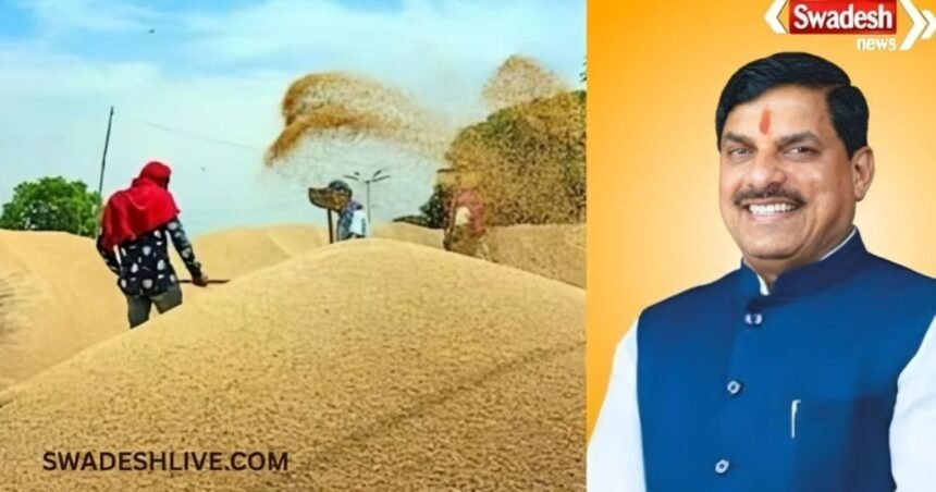 mp-news-wheat-msp-news