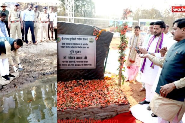 mp tourism-nauradehi-chambal-turtles-release
