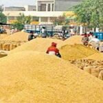 mp-wheat-procurement-pp-bag-shortage-start-from-1-april