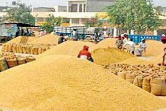 mp-wheat-procurement-pp-bag-shortage-start-from-1-april