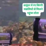 KhabarZaraHatke parrot-submarine-viral-video-bebe-underwater-adventure
