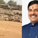 MP Wheat procurement limit-increased