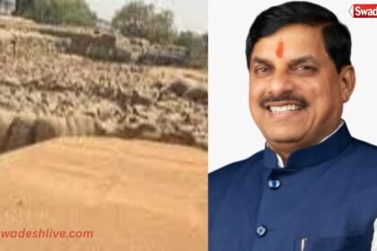 MP Wheat procurement limit-increased