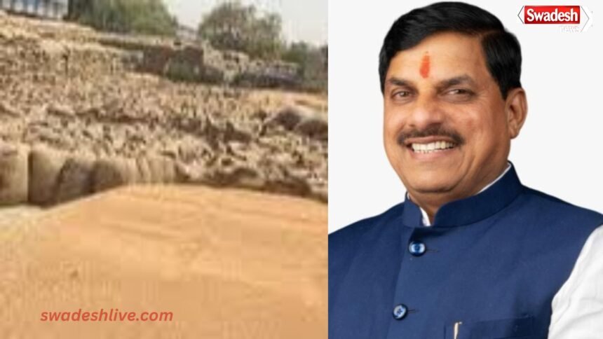 MP Wheat procurement limit-increased