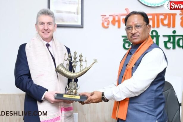 International Development Cooperation