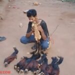 Wildlife Crime India