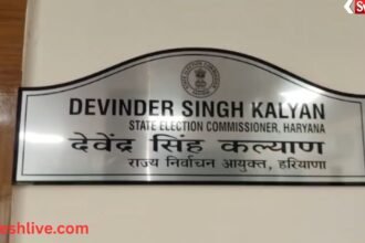 Haryana Municipal Elections