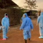 African Swine Fever