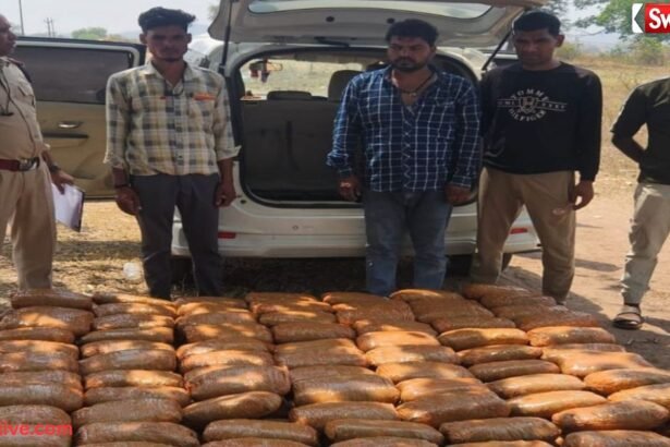 https://swadeshlive.com/bilaspur-police-seized-ganja-245-kg/