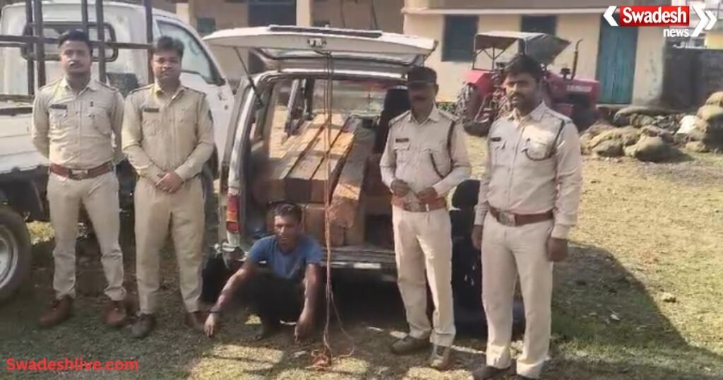 Korea Forest Smuggling