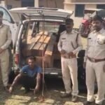 Korea Forest Smuggling