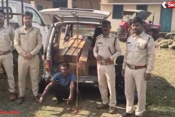 Korea Forest Smuggling