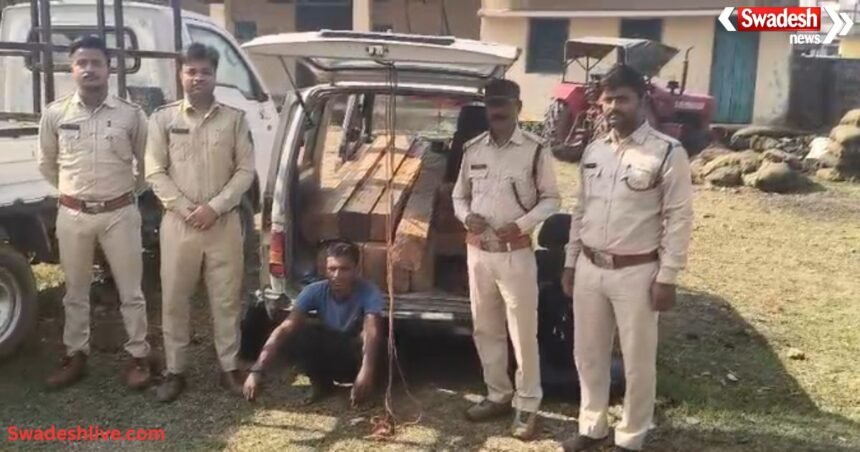 Korea Forest Smuggling