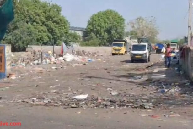 Garbage Management Issue