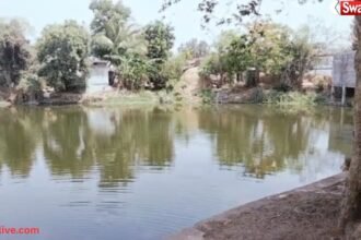 Pond Drowning Accident