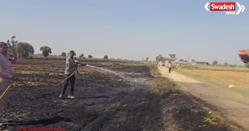 https://swadeshlive.com/haryana-wheat-crop-fire-kalyat-balu-village/
