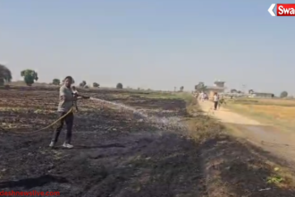 https://swadeshlive.com/haryana-wheat-crop-fire-kalyat-balu-village/