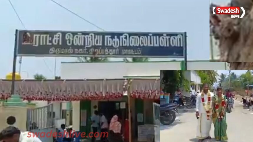 Tamil Nadu Voting Live