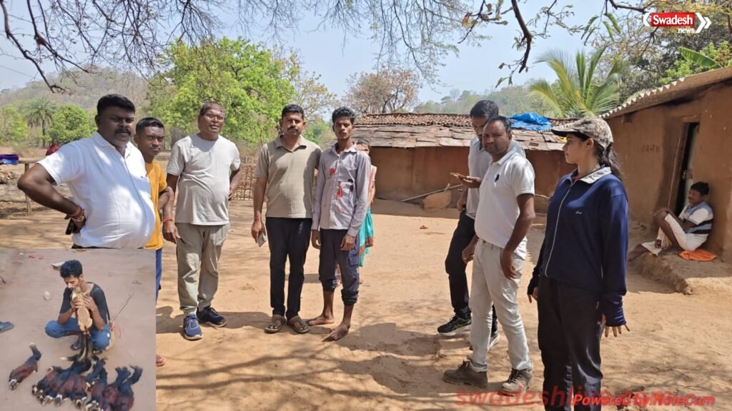 Wildlife Crime India
