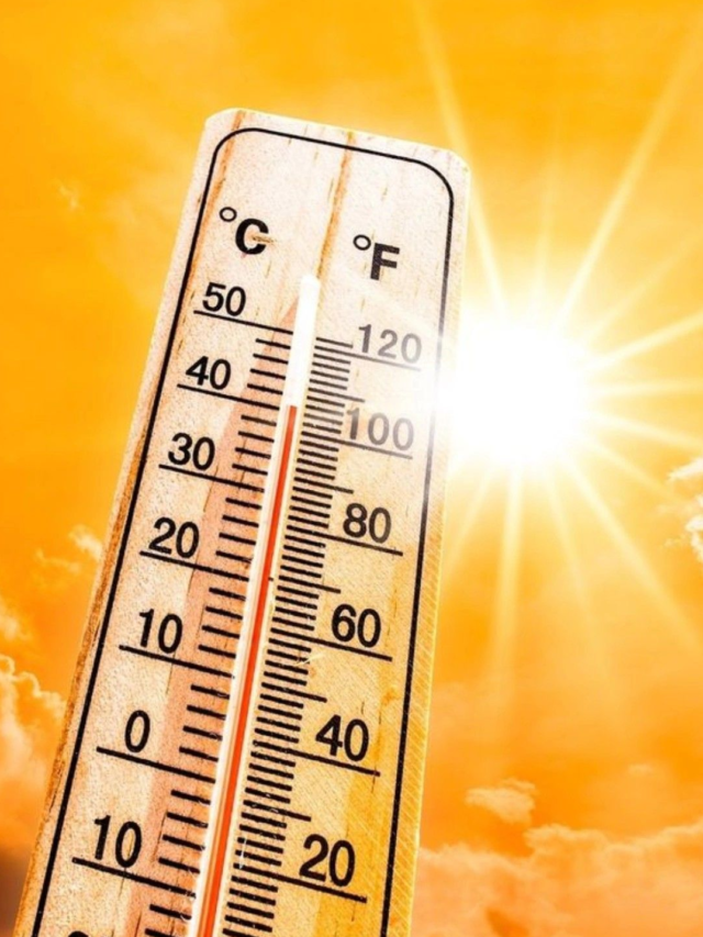 गर्मी में सेहतमंद रहने के लिए करें  इन फलों का सेवन