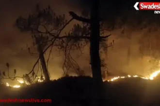 https://swadeshlive.com/nainital-forest-fire-alukhet/