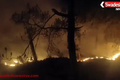 https://swadeshlive.com/nainital-forest-fire-alukhet/