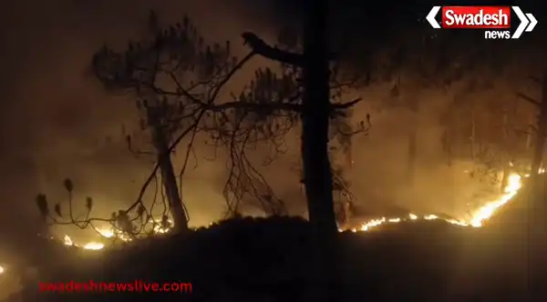 https://swadeshlive.com/nainital-forest-fire-alukhet/