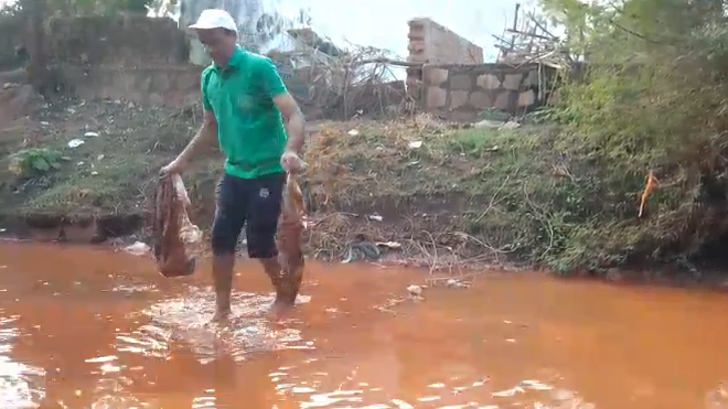 Balod Drain Pollution