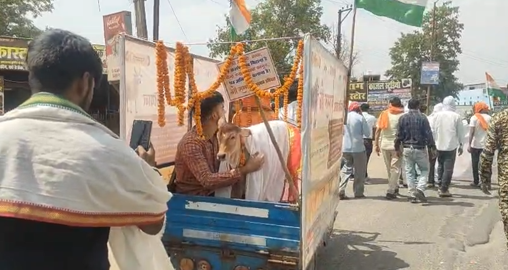 Cow Protection Campaign