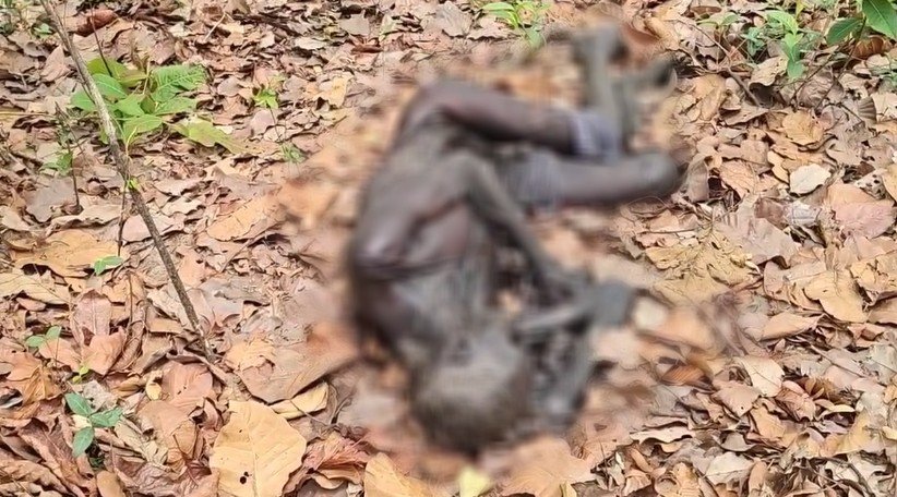 Dead Body Found