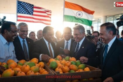 Indian Mango in USA Alphonso Mango Demand