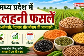 MPFarming Dalhan Fasal utpadan-mausam-guide