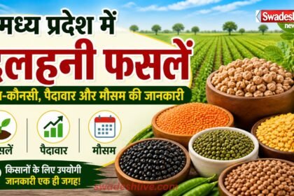 MPFarming Dalhan Fasal utpadan-mausam-guide