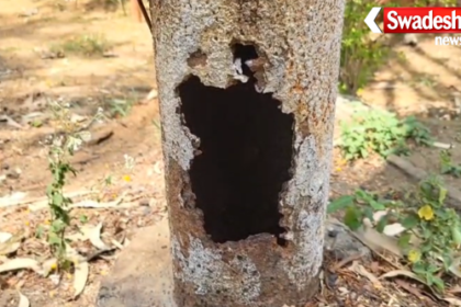 Damaged Electric Pole