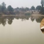 Toxic Substance in Village Pond
