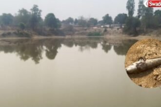 Toxic Substance in Village Pond