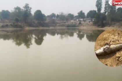 Toxic Substance in Village Pond